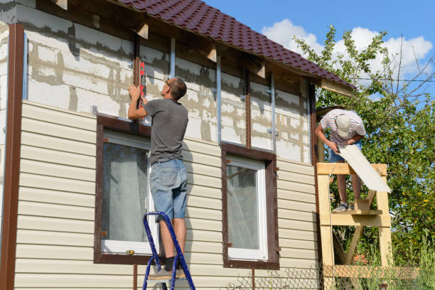 Best Custom Trim and Detailing for Siding  in Central City, KY