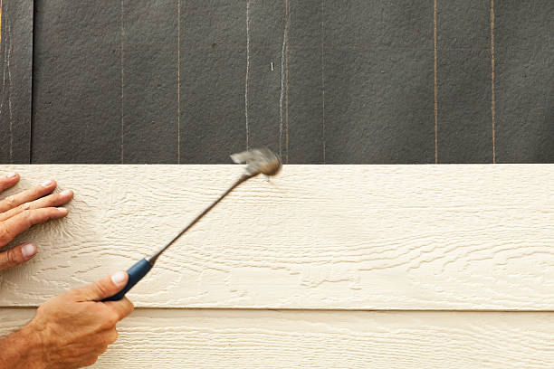 Best Siding Painting and Refinishing  in Central City, KY